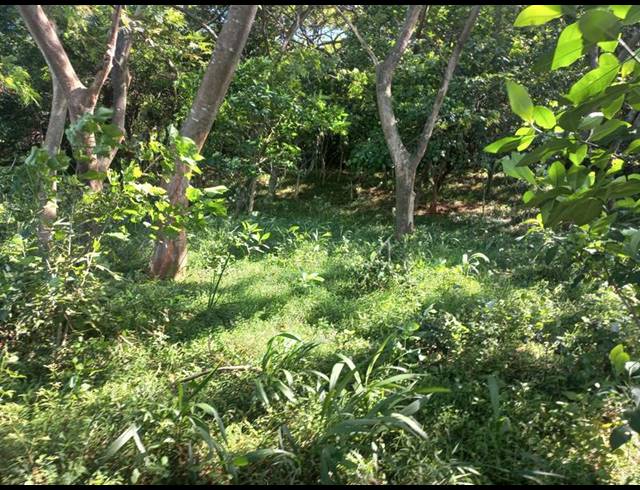 LAND FOR SALE IN SIMBITHI ECO ESTATE